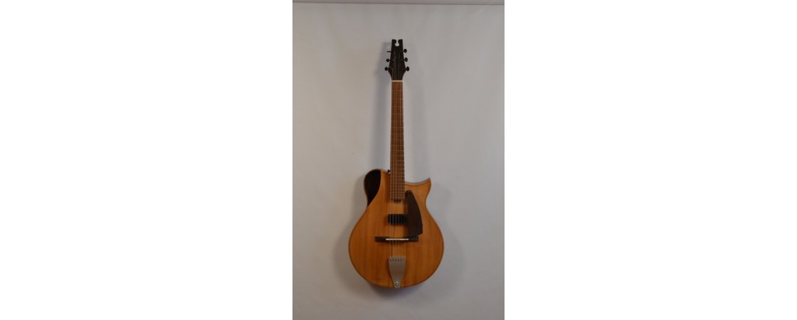 La guitare de Thibault Desombre : un don fait au musée