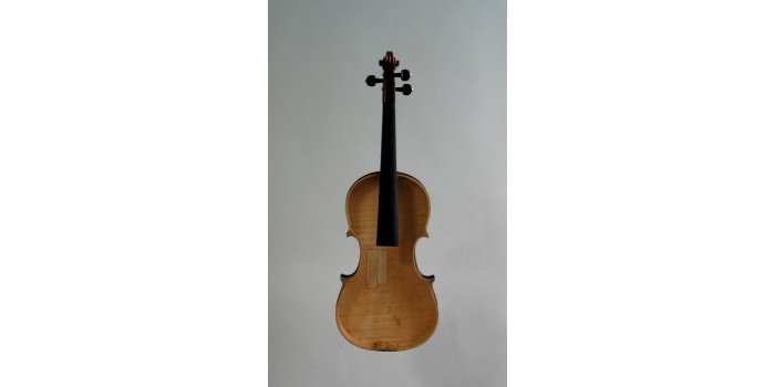 Violon