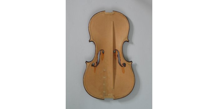 Violon