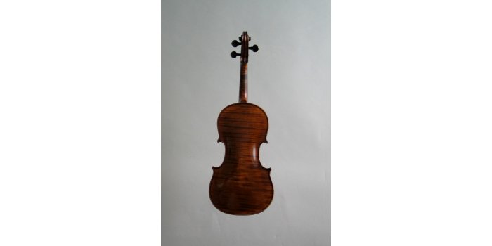 Violon