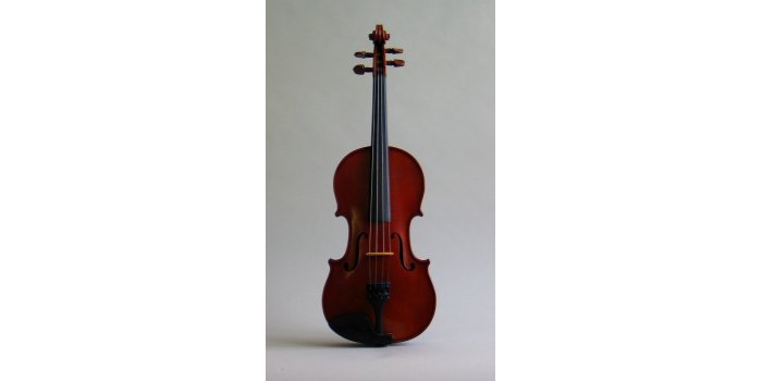 Violon