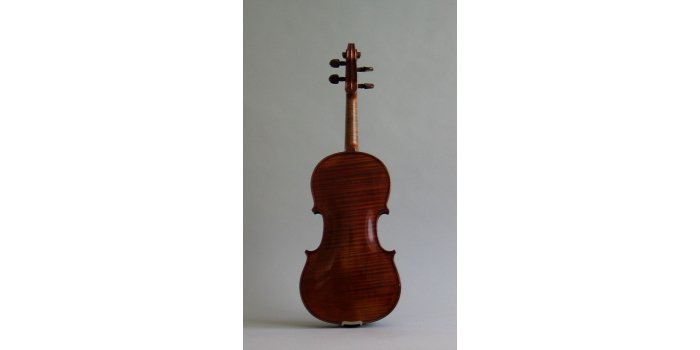 Violon