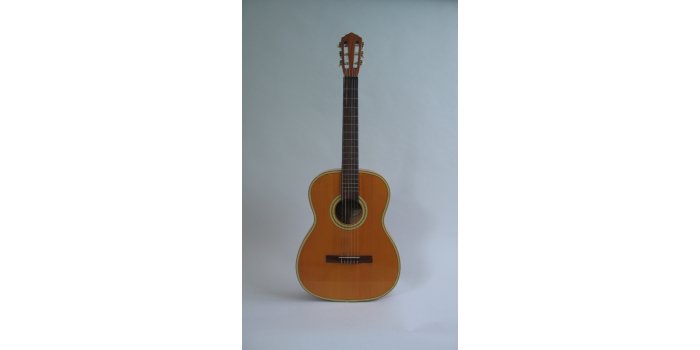 Guitare