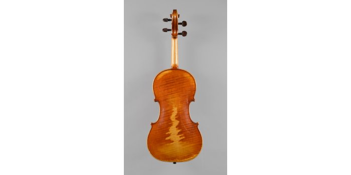 Violon