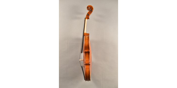 Violon