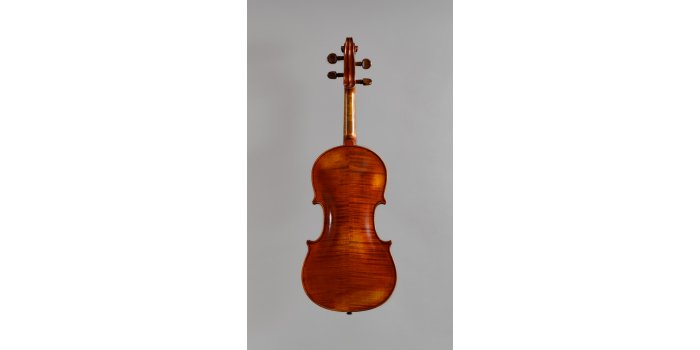 Violon