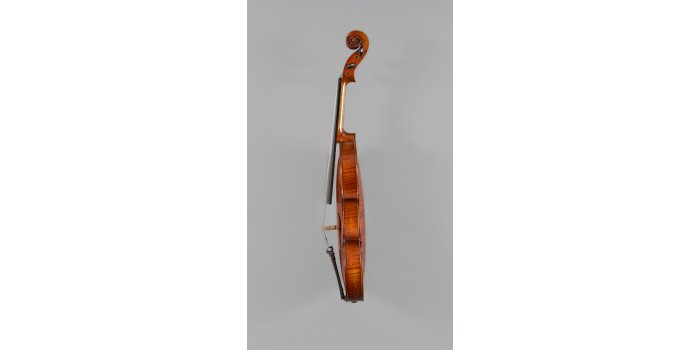 Violon