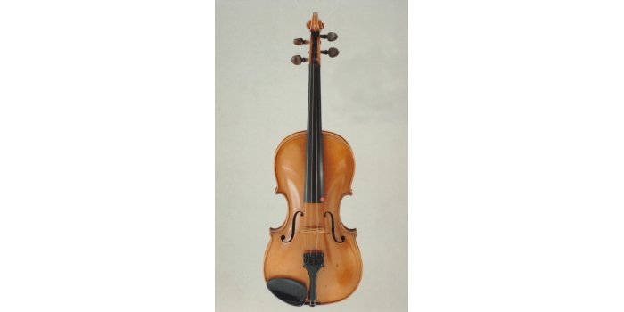 Violon