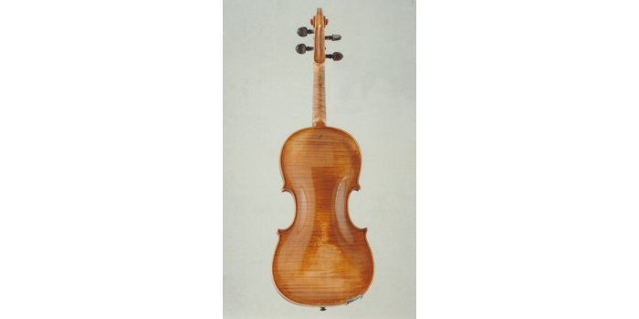 Violon