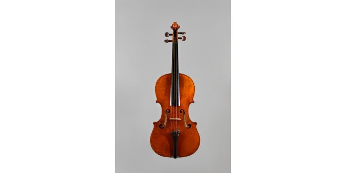 Violon