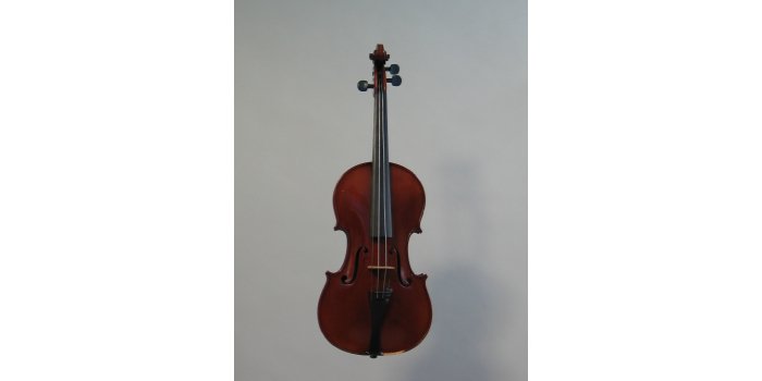 Violon