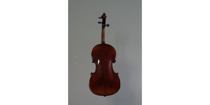 Violon