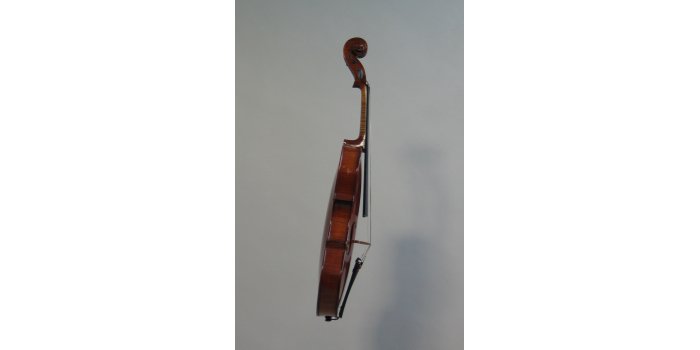 Violon