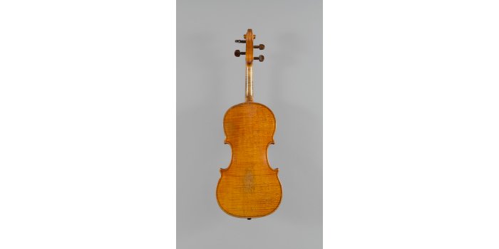 Violon