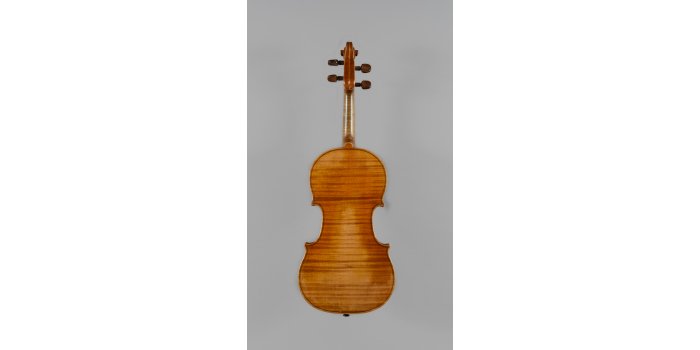 Violon