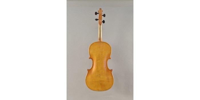 Violon