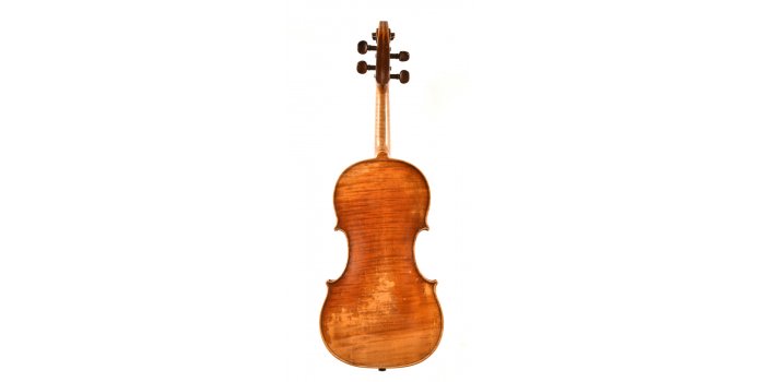 Violon