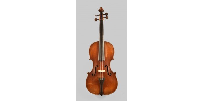 Violon