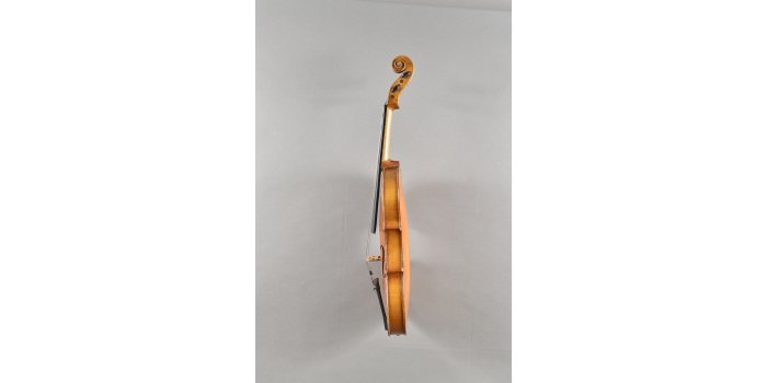 Violon