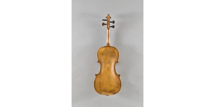 Violon