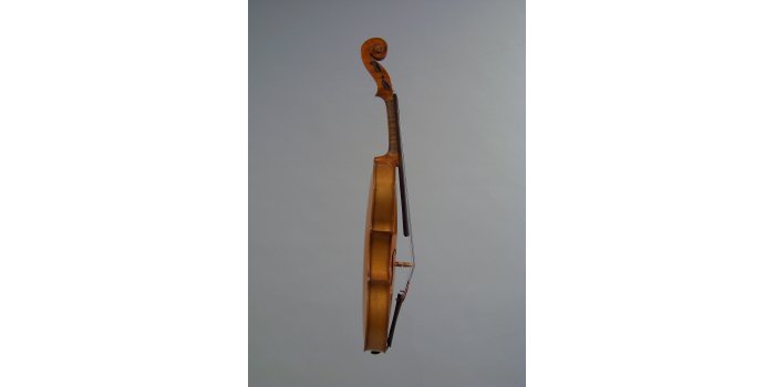 Violon