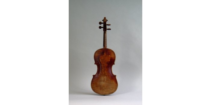 Violon