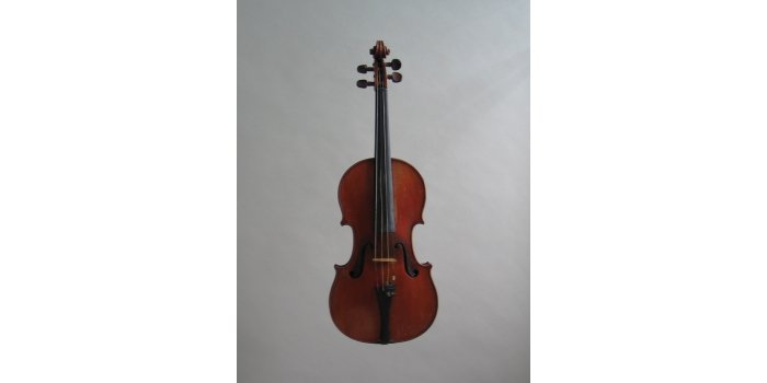 Violon