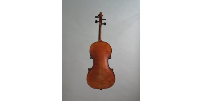 Violon