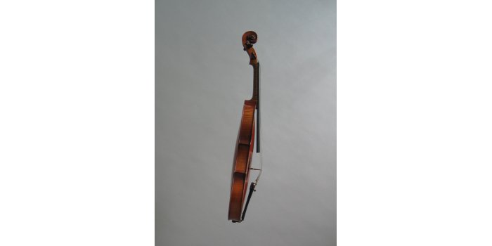 Violon