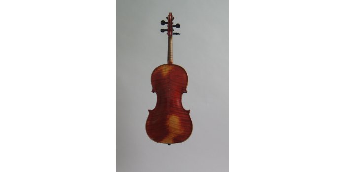 Violon