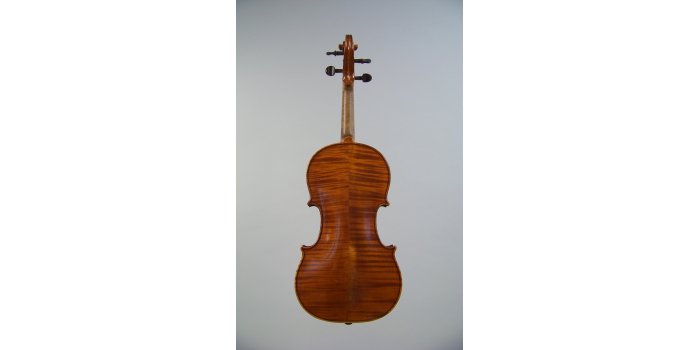 Violon