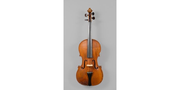 Violon