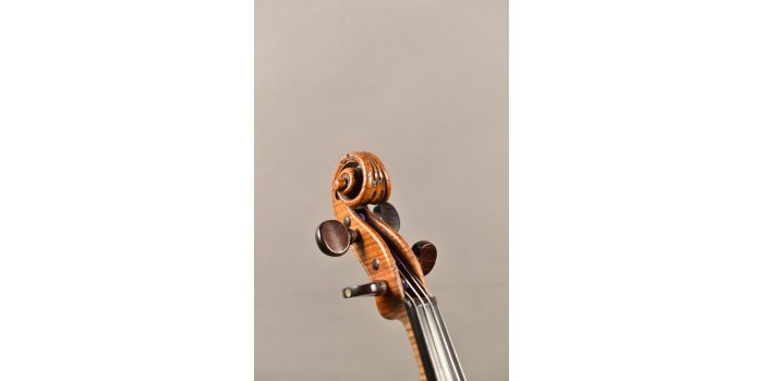 Violon