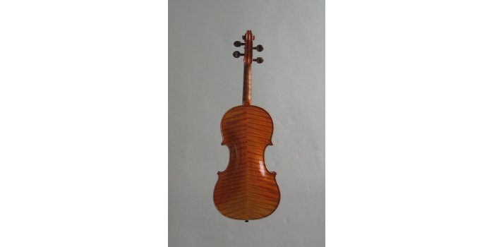 Violon