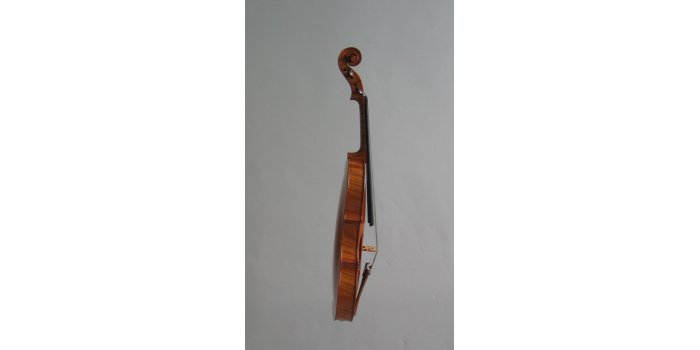 Violon