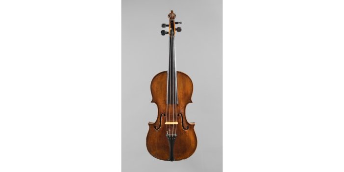 Violon