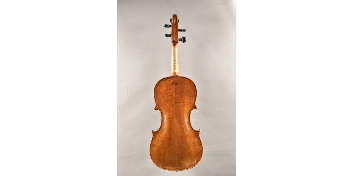 Violon