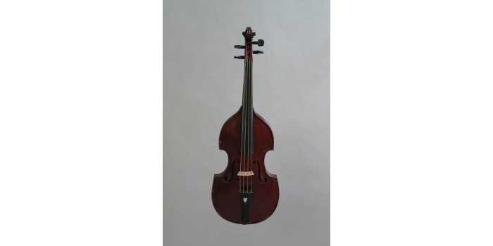 Violon