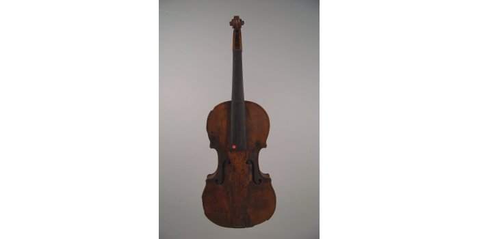 Violon