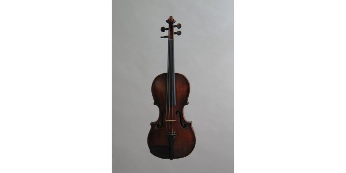 Violon