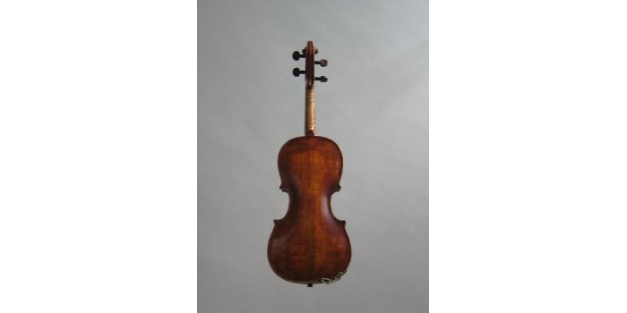 Violon