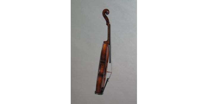 Violon