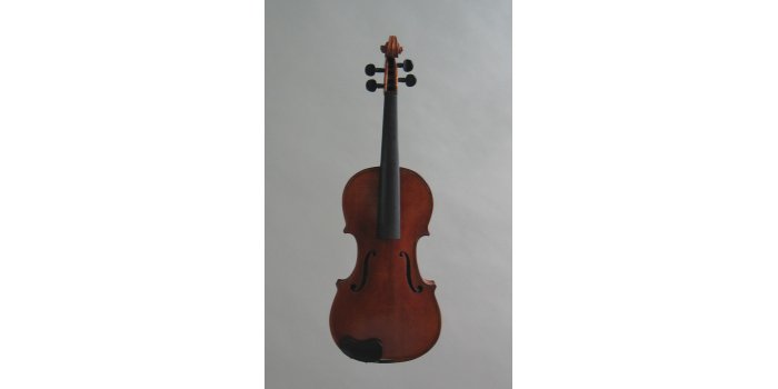 Violon