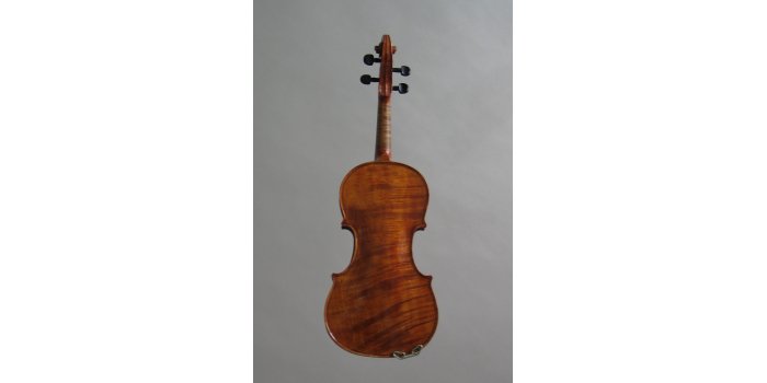 Violon