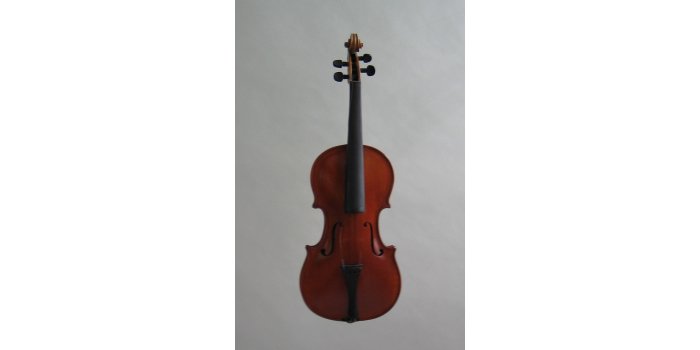 Violon