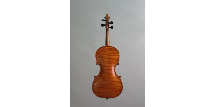 Violon