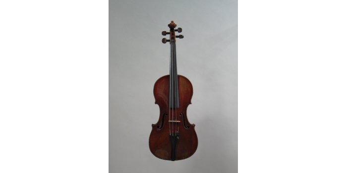 Violon