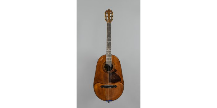 Guitare hawaïenne