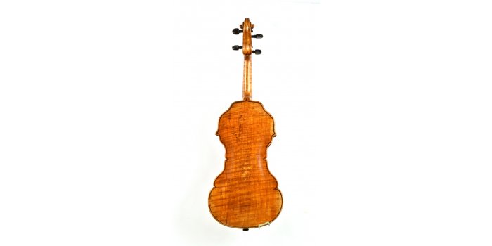 Violon