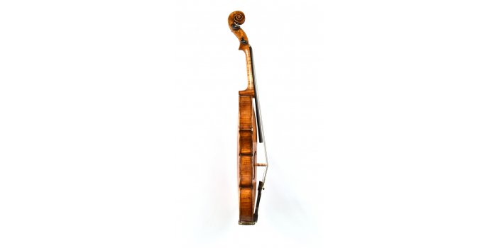 Violon